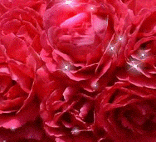 roze